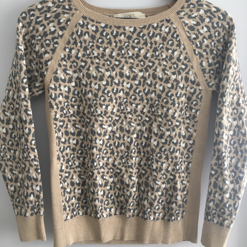 Loft soft sweater